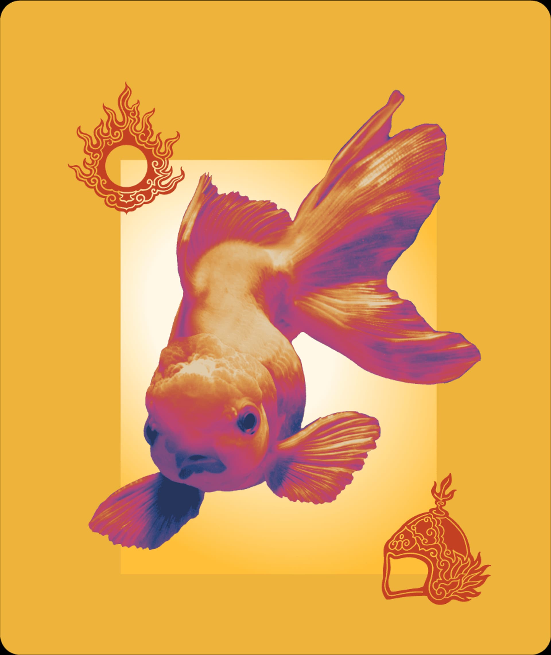 horos_website_component_4.png